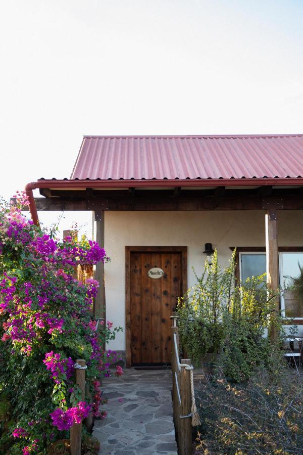 Terra Del Valle Bed & Breakfast Valle de Guadalupe Exterior photo