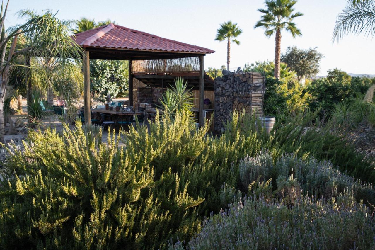 Terra Del Valle Bed & Breakfast Valle de Guadalupe Exterior photo